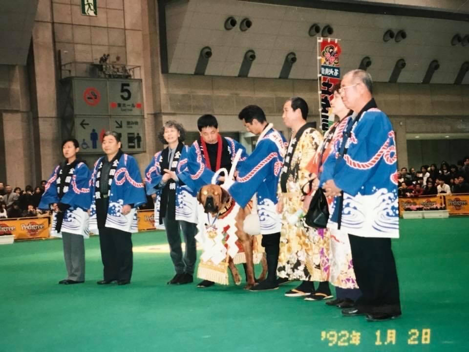 Saji-Go
